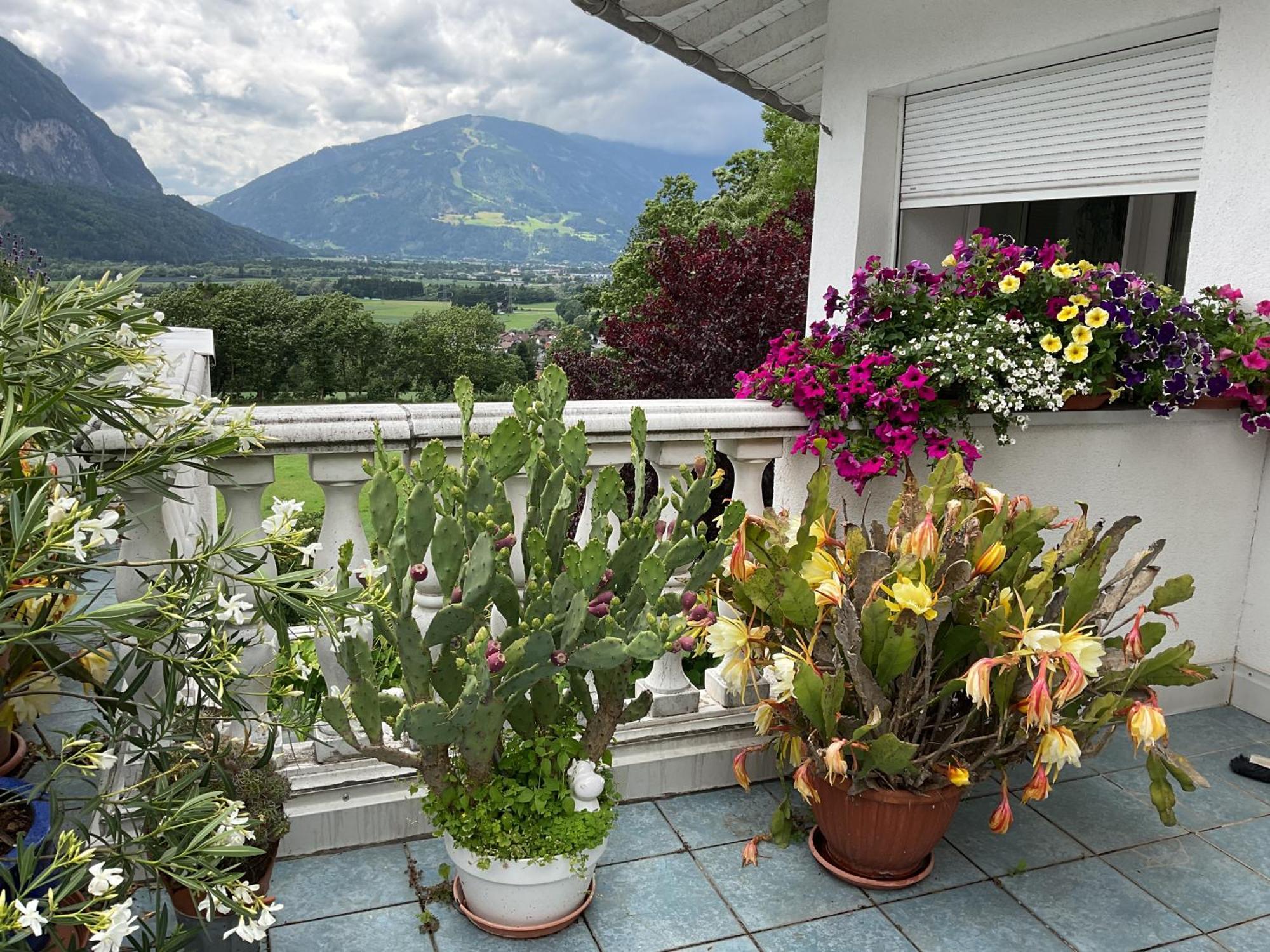 Fricks Appartement Dölsach Exterior foto